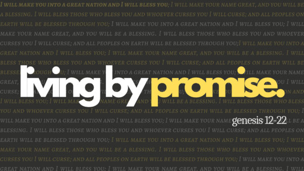 Promise and Provision Image